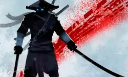 Ninja Arashi image
