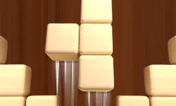 Woodoku Block Puzzle image