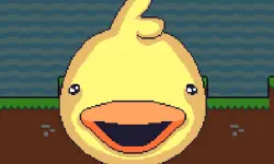 DuckWAK image