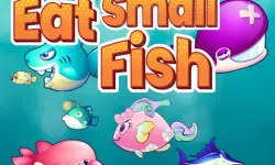 Eat Small Fish image