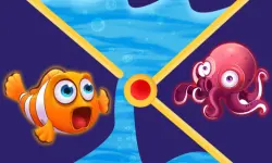 Clownfish Pin Out image