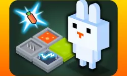 FUNNY BUNNY LOGIC image