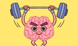 Perfect Brain 3D Puzzle image
