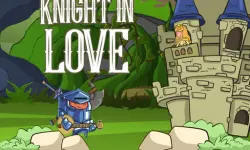Knight in Love image