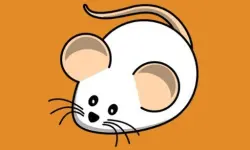 Rodent Whack image