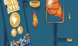 dunk FallBall image