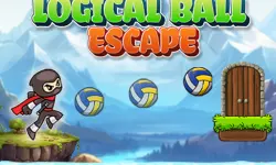 Logical Ball Escape image