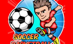 Soccer Basketball image