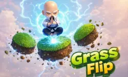 Grass Flip image