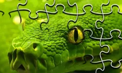 Snakes Jigsaw Puzzle image