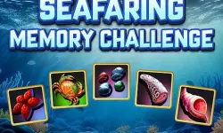 Seafaring Memory Challenge image