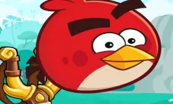 Angry Birds Casual image