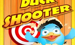 Duck Shooter image