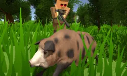 Pixel Hunting.IO image