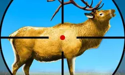 Wild Deer Hunting 3D image