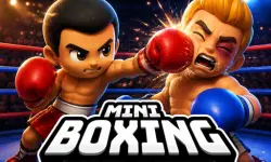 Mini Boxing Final Round image