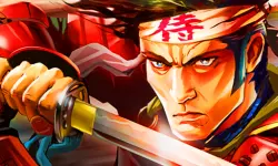 Samurai Reflexion image