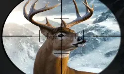 Hunter 3d image