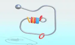 Ring It Off image