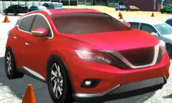 Driving Test Simulator image