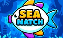 Sea Match image