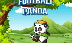 Football Panda image