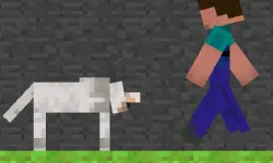 Steve and Wolf image