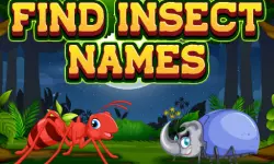 Find Insect Names image