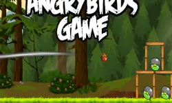 AngryBird image
