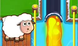 Sheep and road image