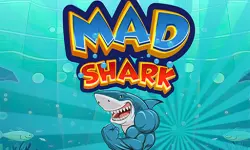 Mad Shark Fish image