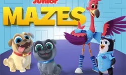 Junior Mazes image