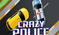 Crazy Police image