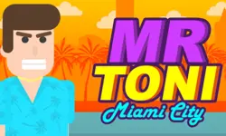 MR TONI Miami City image