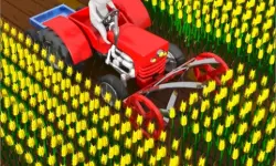 Cut the Grass Cutting Grass image