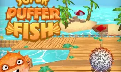 PufferBall image