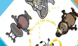 Zoo Zoom Shapes image