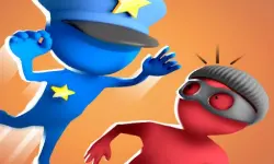 Catch The Robber image