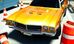 Backyard Parking Car Jam image