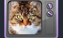 Mystery Pic image