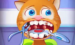 Pet House - Little Friends image