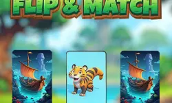 Flip Match image