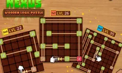 NEXUS : wooden logic puzzle image