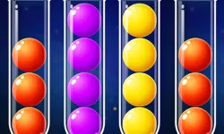Sort Bubbles Puzzle image