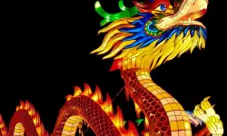 Dangerous Dragons Jigsaw image