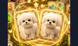 Animal Pair Card Match image