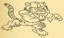 Tiger Coloring Book image