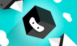 Jump Box Ninja image
