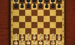 Chess Master King image