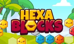 Hexa Blocks image